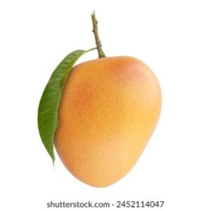 ALPHOSO MANGO - 5 PER CARTON
